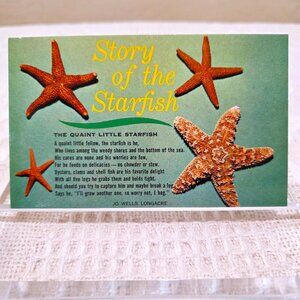 Vintage Story of the Starfish The Quaint Little Starfish HS Crocker Postcard UNP